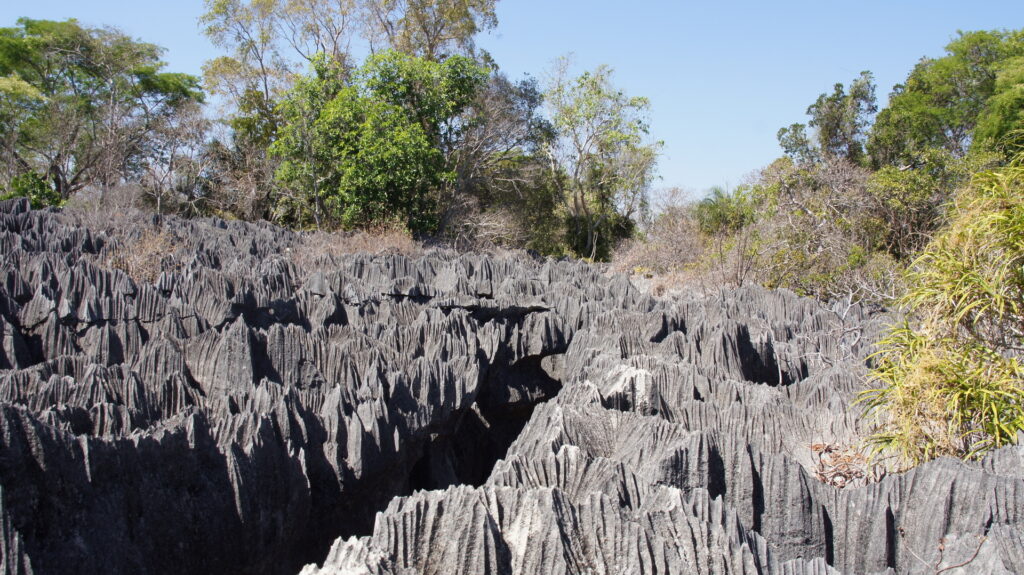 ein Blick über die Tsingys